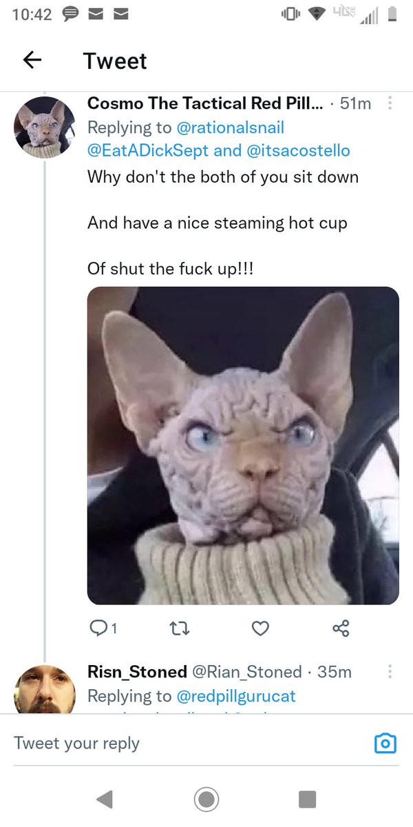 rationalsnail's tweet photo. @aaron_clarey #FreeCosmo https://t.co/QE4WuzlMav