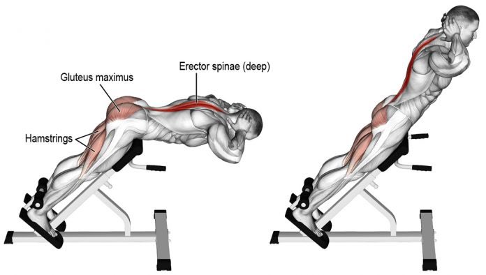 AJA_Cortes's tweet photo. HYPEREXTENSIONS for Low Back Pain:

I get asked about LBP constantly 

There are many exercises you can do, but this one in particular is well supported by the scientific literature 

While you need the right equipment, it’s a simple movement that anyone can start with &amp; progress https://t.co/00330xI7ZL