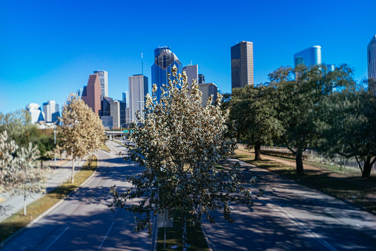 visibleinlight's tweet photo. Downtown HTX from Allen Parkway.
Leica M-P 240 with Chroma Camera Double Glass lens
#visibleinlight #leica #leicarangefinder #leicamp240 #rangefinder #chromacamera #doubleglass #wideangle #fixedfocus #nofocus #HTX #DowntownHouston @chromacamera https://t.co/HCodiubX3L
