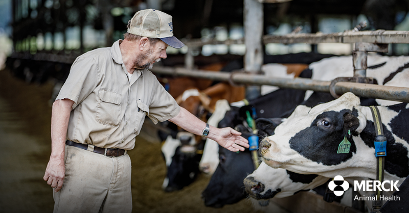 Merck Animal Health (@MerckAH) / Twitter Merck Animal Health (@MerckAH) / Twitter