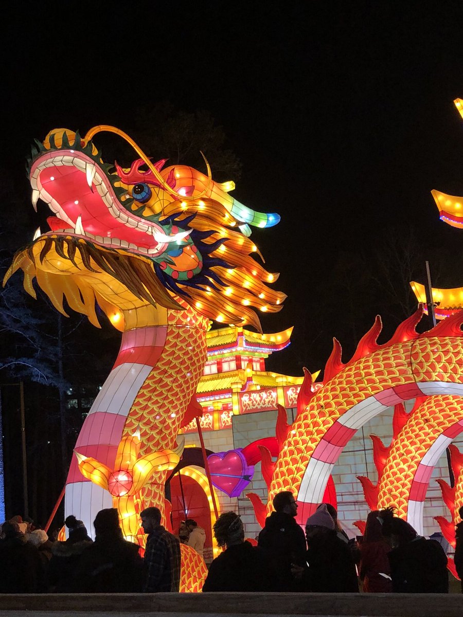 kaylamatkinson's tweet photo. snakes and dinosaurs and dragons, oh my! https://t.co/K8AXizfAkt