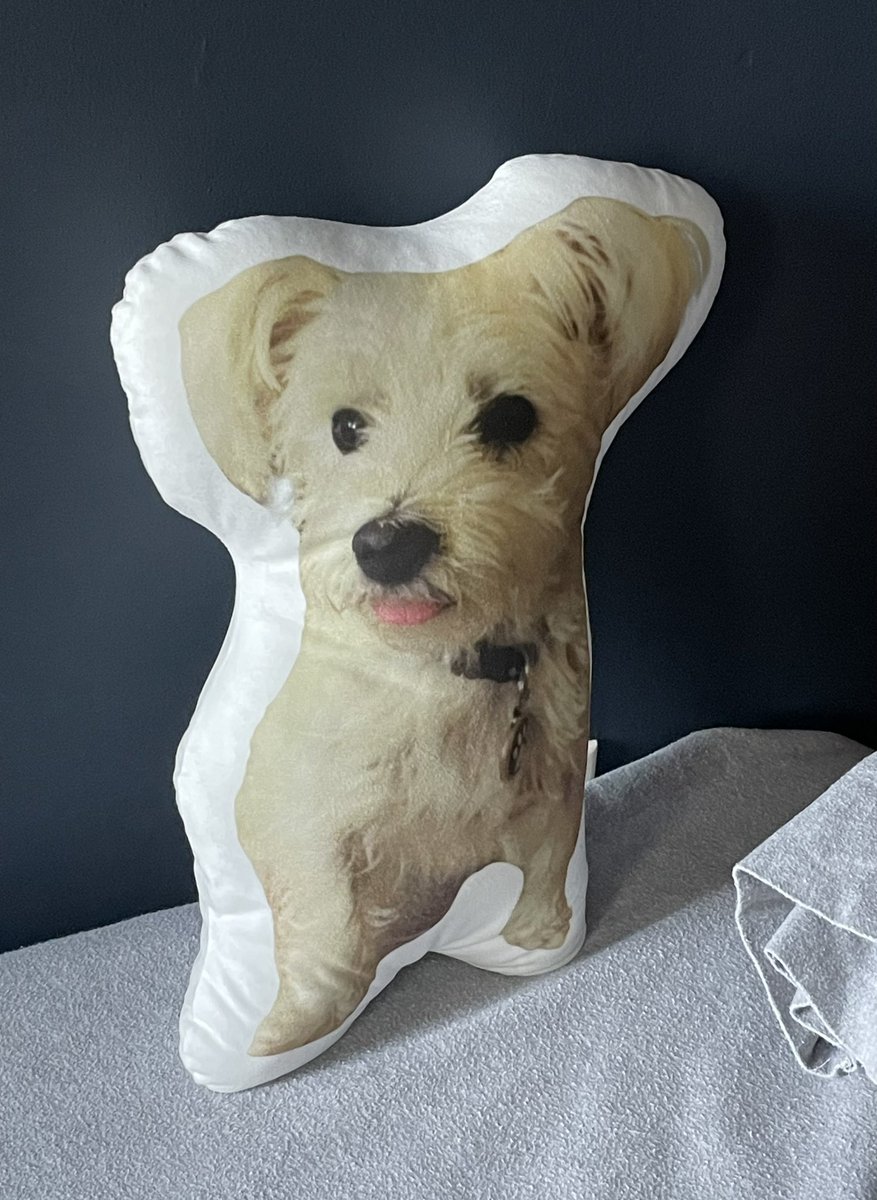 ah_fez's tweet photo. I got a pet pillow of the family dog for christmas, but every time I walk into my room it gives me a jump scare. https://t.co/X5Bb9IHYOP