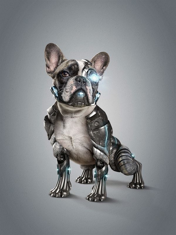 th000rn's tweet photo. #cyberpunk #digitalart #cyberanimal #cyberworld #nftanimal #cryptoanimal #digitalwolrd #metaverse #cyberdog #metauniverse
#loginpassxyz https://t.co/WSb9XOrTkK