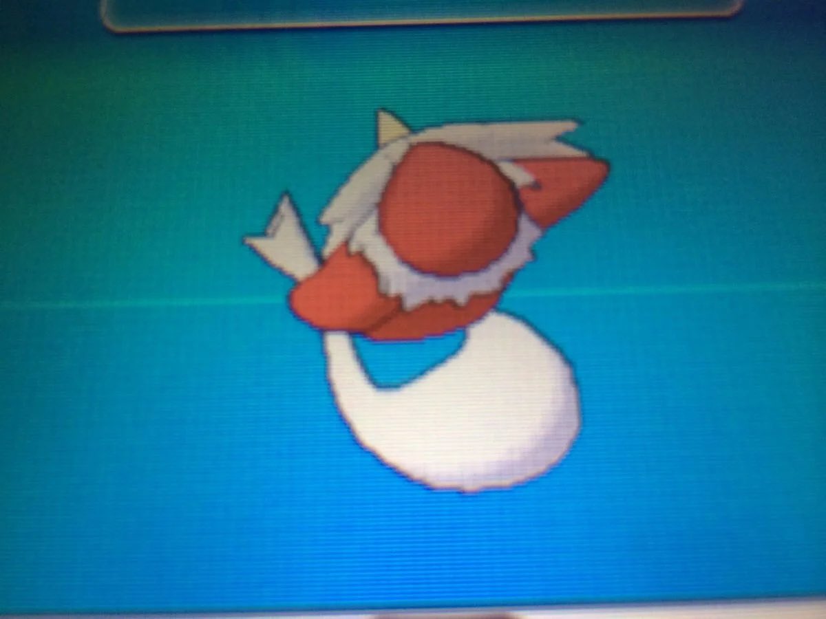 GamesCage_'s tweet photo. IM SO FKN UPSET I THOUGHT THIS WAS LITTLE CHRISTMAS BAG HE WAS HOLDING NOT HIS TAIL https://t.co/3bWBYhLUxs