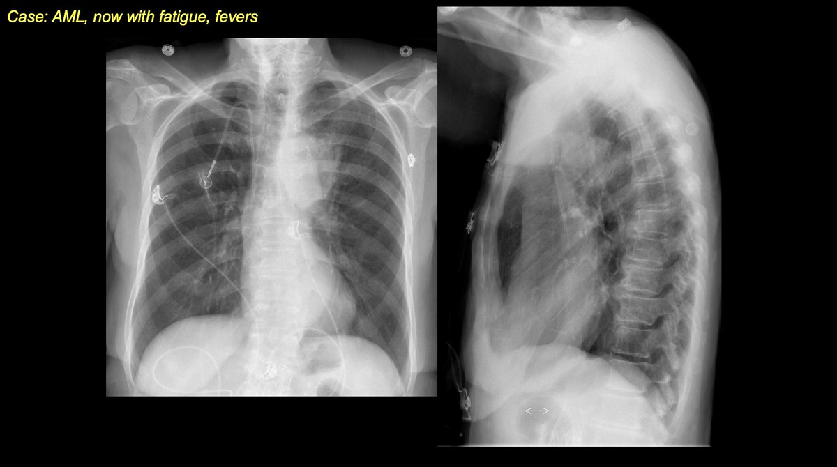 Costa Raptis tweet media