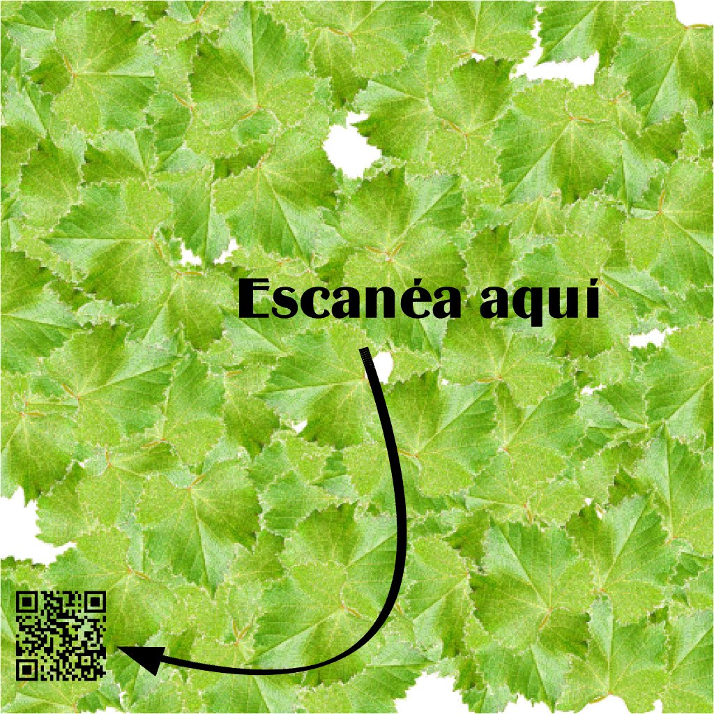almaternera's tweet photo. https://t.co/sXyL1gSAWn