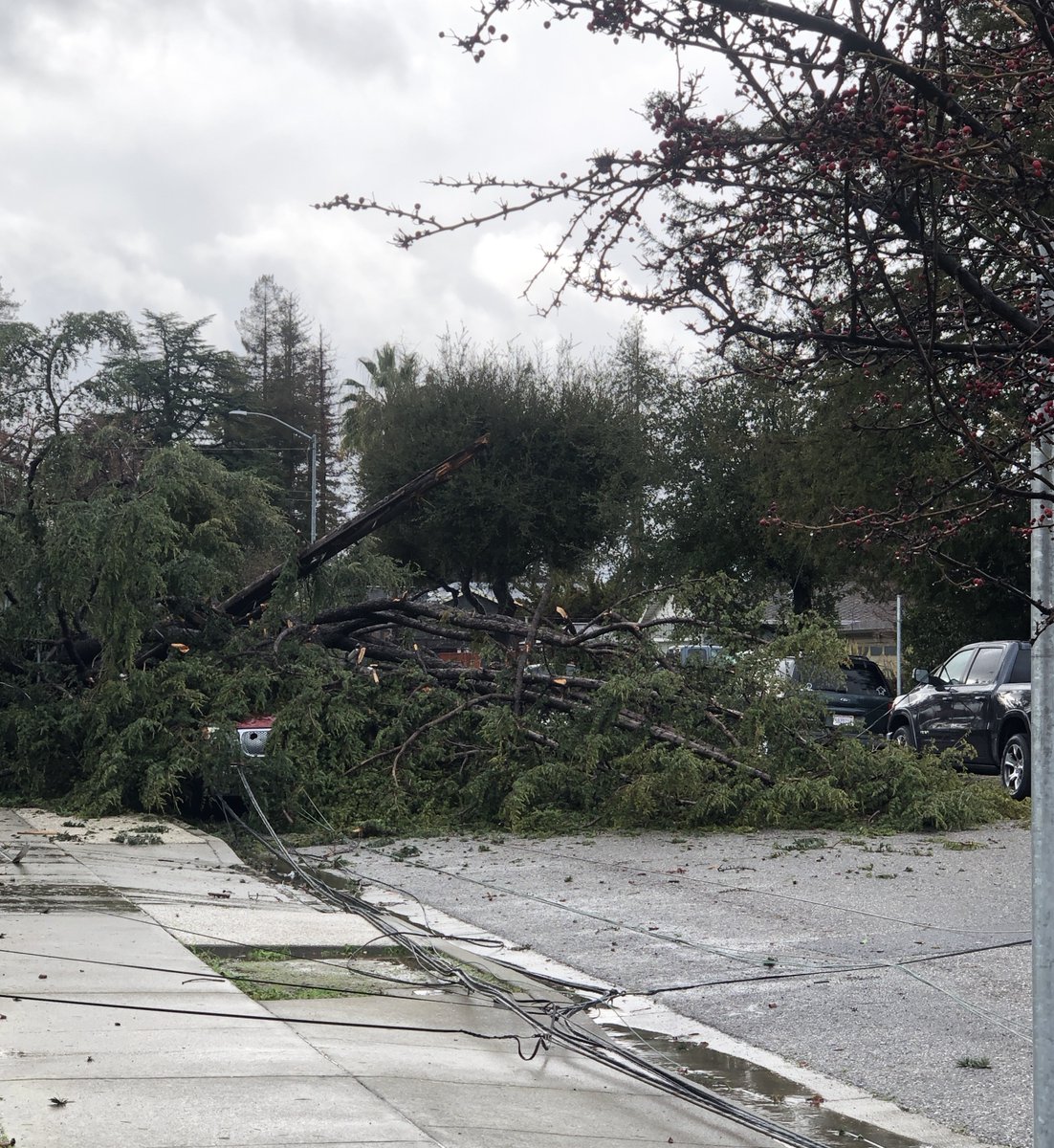 Campbell95008's tweet photo. Buried car and power lines down at California Street in Campbell.  #Poweroutage #Atmosphericriver #Atmosphericrivers #stormdamage #CaStormdamage #SantaClaraCounty #CampbellCA #linesdown https://t.co/GANtWYnf45
