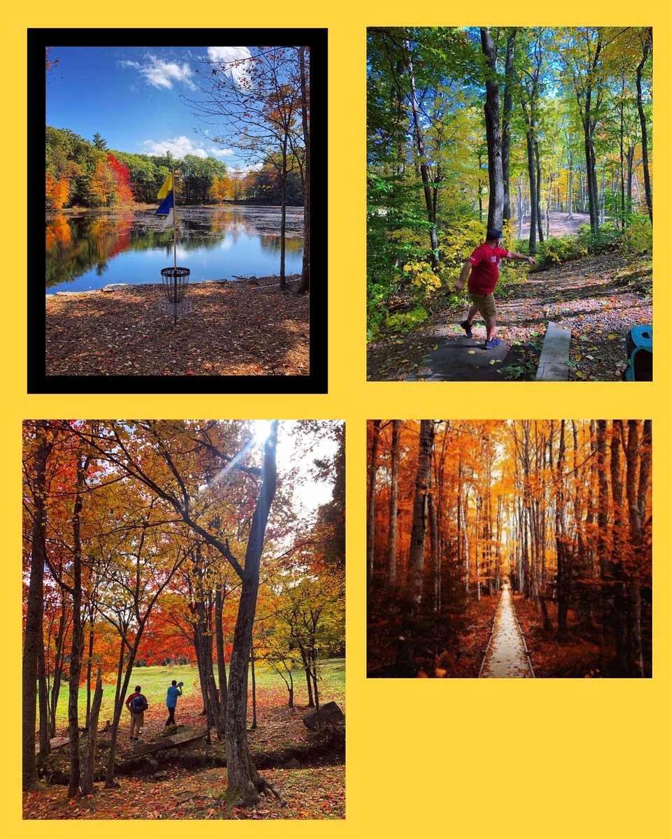 Virtual - Personal and Business Management tweet media