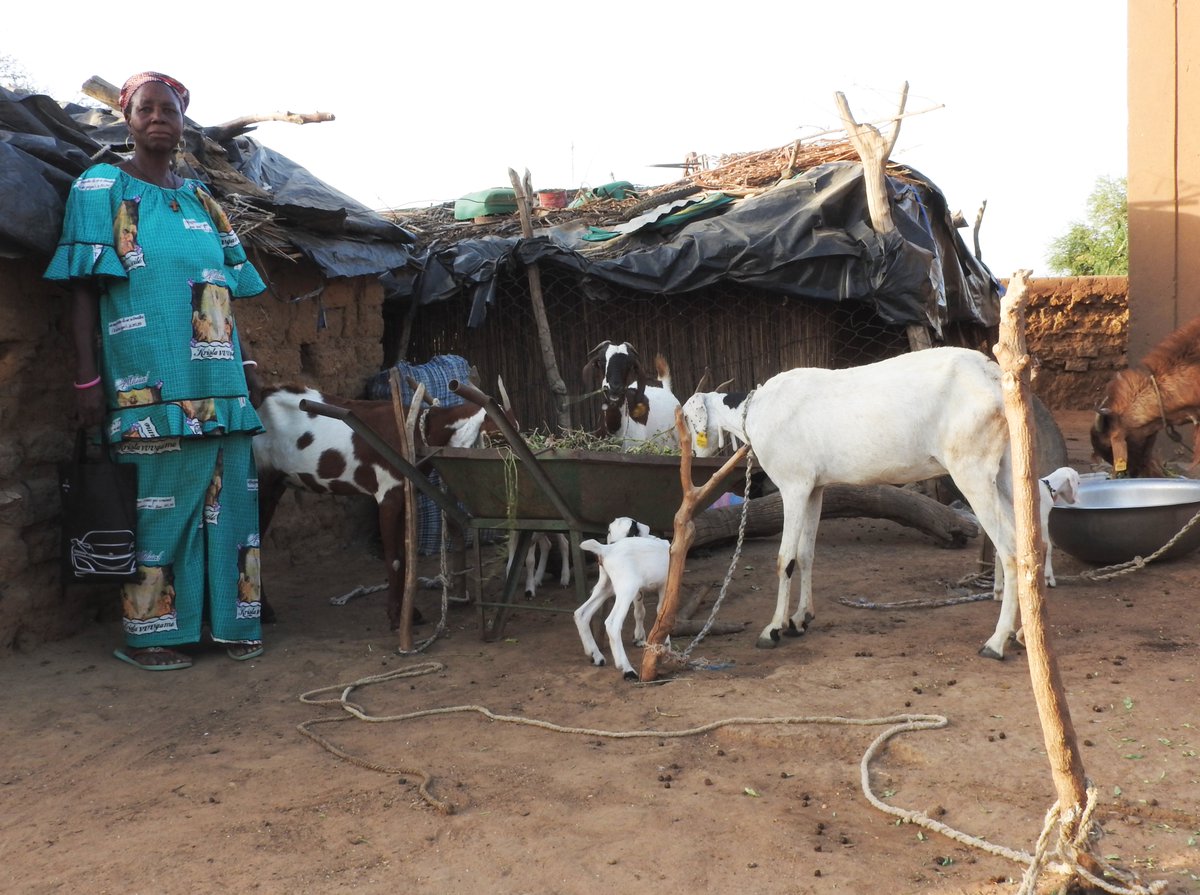 USAID_CATALYZE's tweet photo. In response to the urgent need for food assistance in West Africa, we are partnering with other @USAID projects in Burkina Faso to unlock affordable and immediate access to fertilizer. Learn how: https://t.co/xwcNTqU3sV https://t.co/u8n3NRFRpN