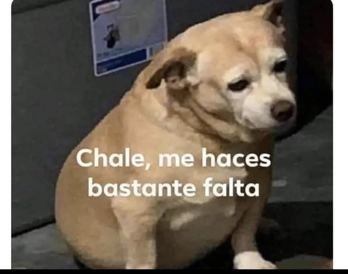 Don Maximo tweet media