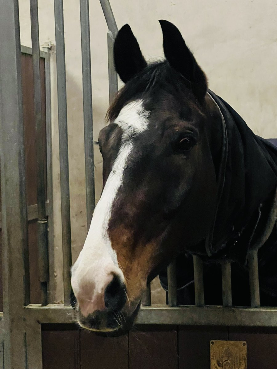 Katie_McKeever1's tweet photo. Devastated to have lost January Jets today. So talented &amp; a real character.
Such a bright future ahead , always the good ones 💔 https://t.co/lqQXpa4c0E