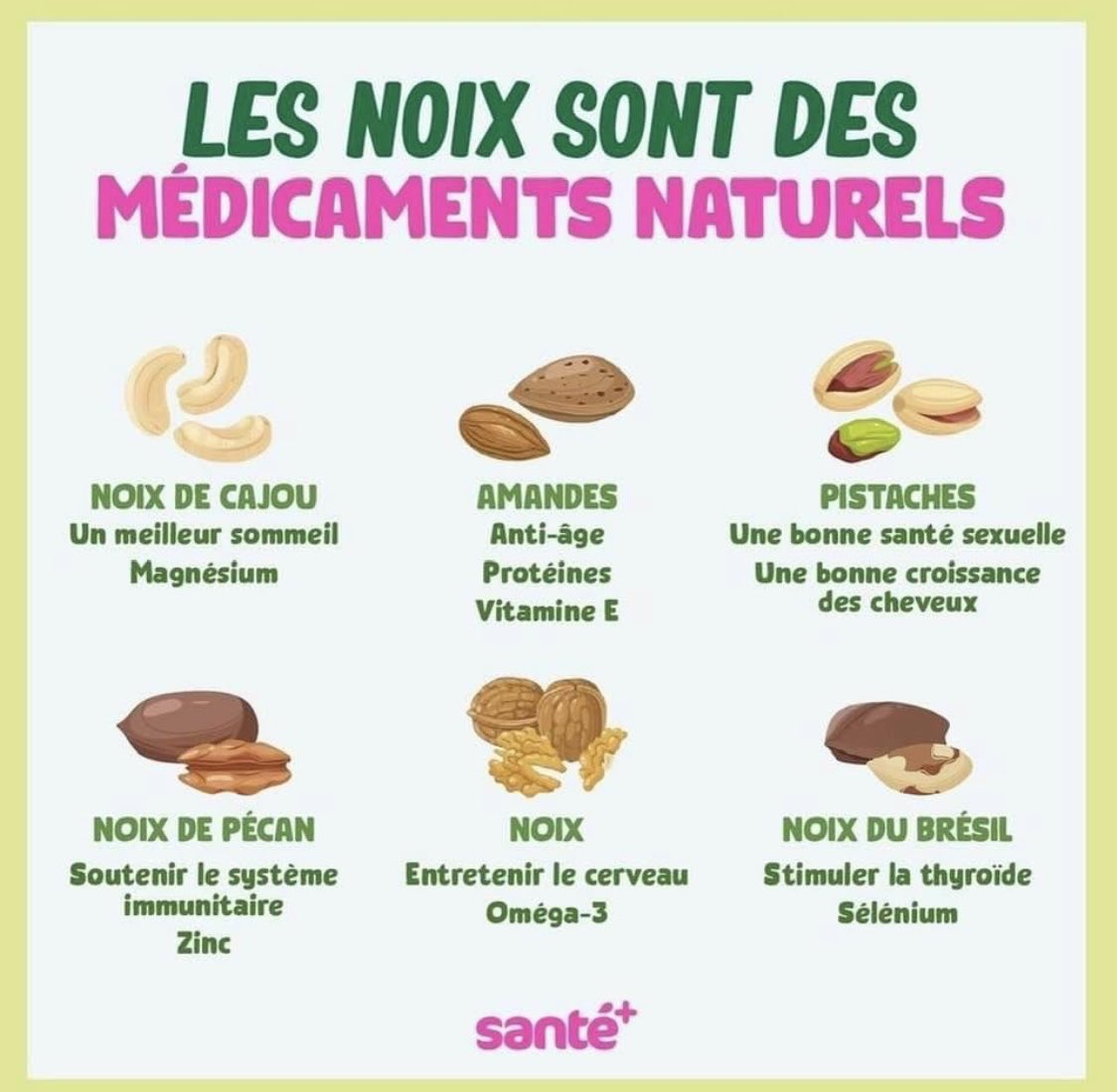 AmelleZidane's tweet photo. #noixdecajou #amandes  #pistaches #noixdepecan #noix #noixduBresil  🌰 🌰 🌰 #magnesium #omega3 #selenium #proteinesvegetales #vitamineE #mineraux #antioxydant #vitamineB #phosphore #fibres #zinc #manganèse https://t.co/5HivVPZg9h