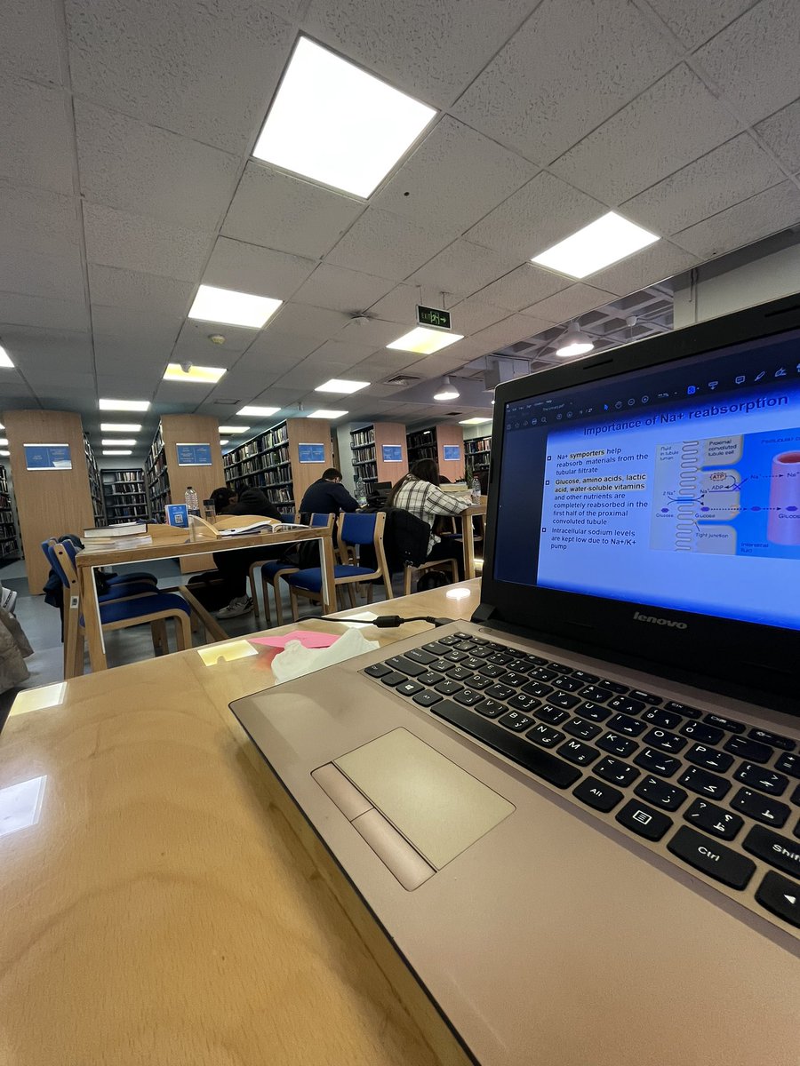 Batoul 𓂆 on Twitter "Today’s dump