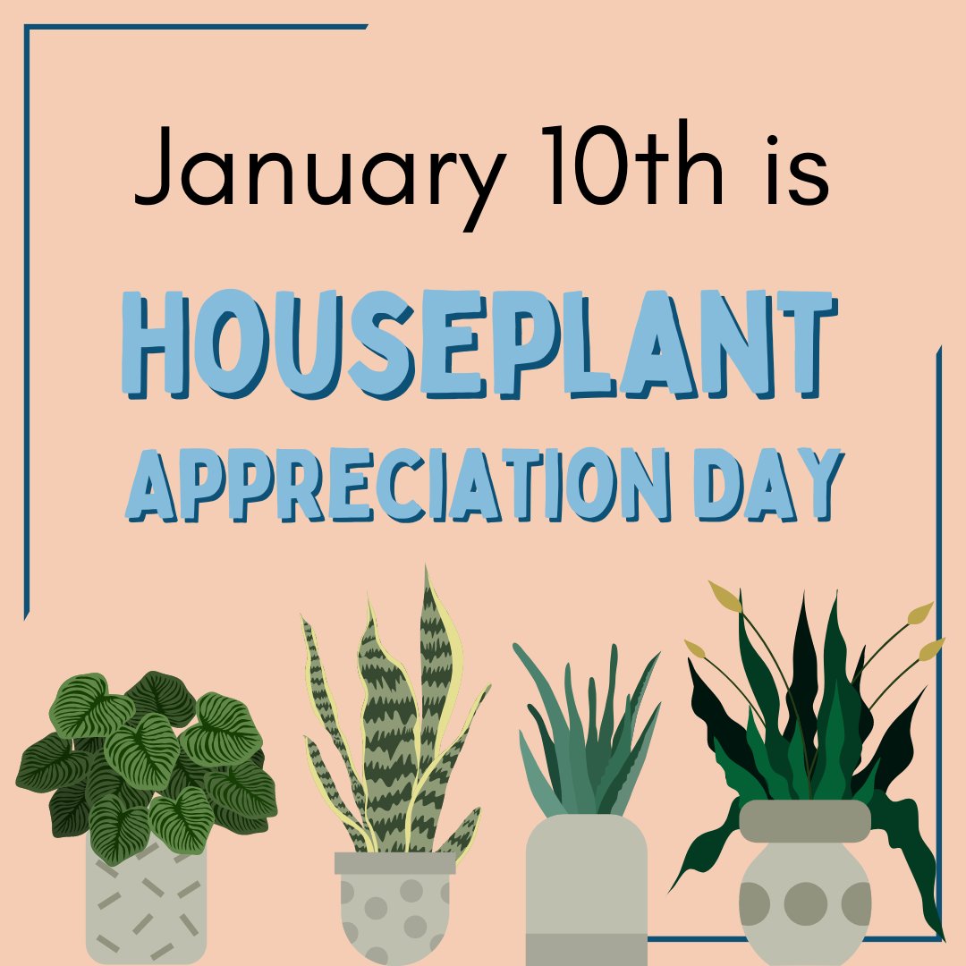 Tending to plants can be an excellent way to care for your mental health. Not only do many houseplants naturally improve the room's air quality, they also remind us of nature's slow, gentle beauty.

#plants #houseplantappreciation #selfcare #selflove #addictioncenter