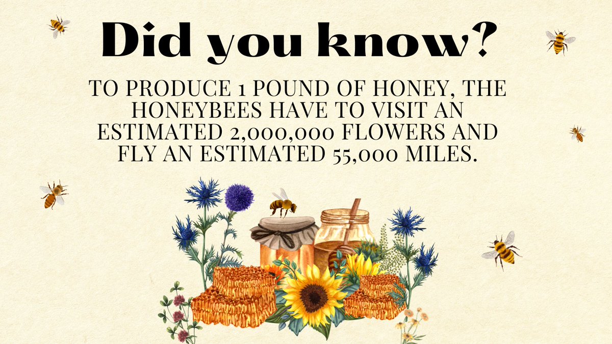 🐝 #Honeybees hard at work! 

#pollination #flowers #beehive #savethebees #beelife