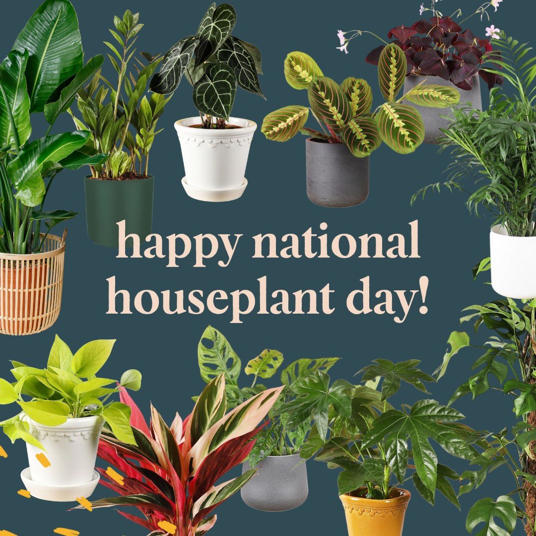 Beards & Daisies tweet media