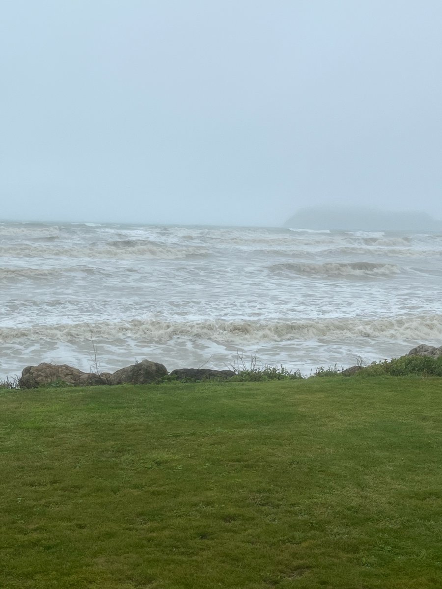 Damon Harvey tweet media