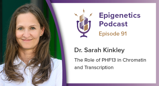 epigenetics_pod's tweet photo. In this episode we caught up with @Chromatin_MPIMG from @MPI_MolGen to talk about her work on PHF13 and its role in chromatin and transcription.

#epigenetics #chromatin #WomenInSTEM 

Listen here: https://t.co/zJkSo0nbTt https://t.co/CnwDRUw7CC