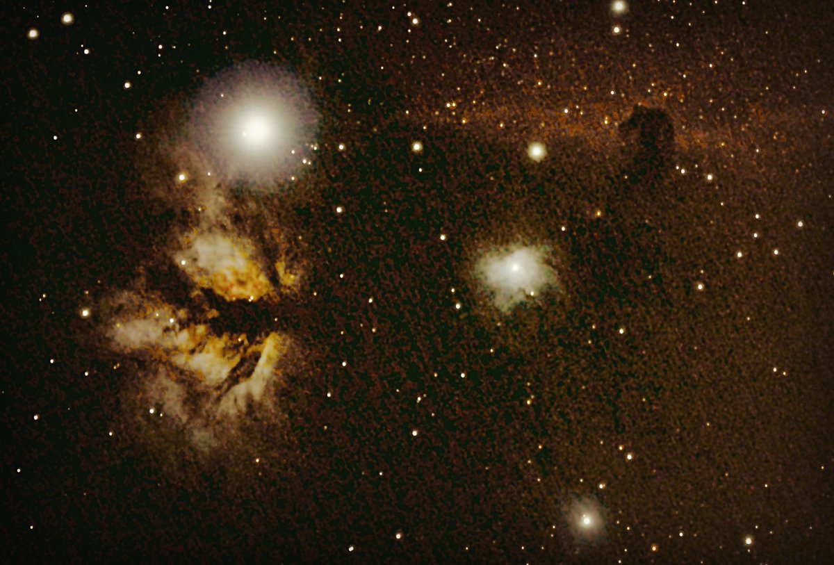 Markie2572's tweet image. My latest photo of deep space.
The Flame (left) and Horsehead nebula (right) imaged from my roof in Spain.
1400 light years from earth. #canonphotography #Astrophotography #flamenebula #horseheadnebula #skywatcherheq5pro #tsoptics