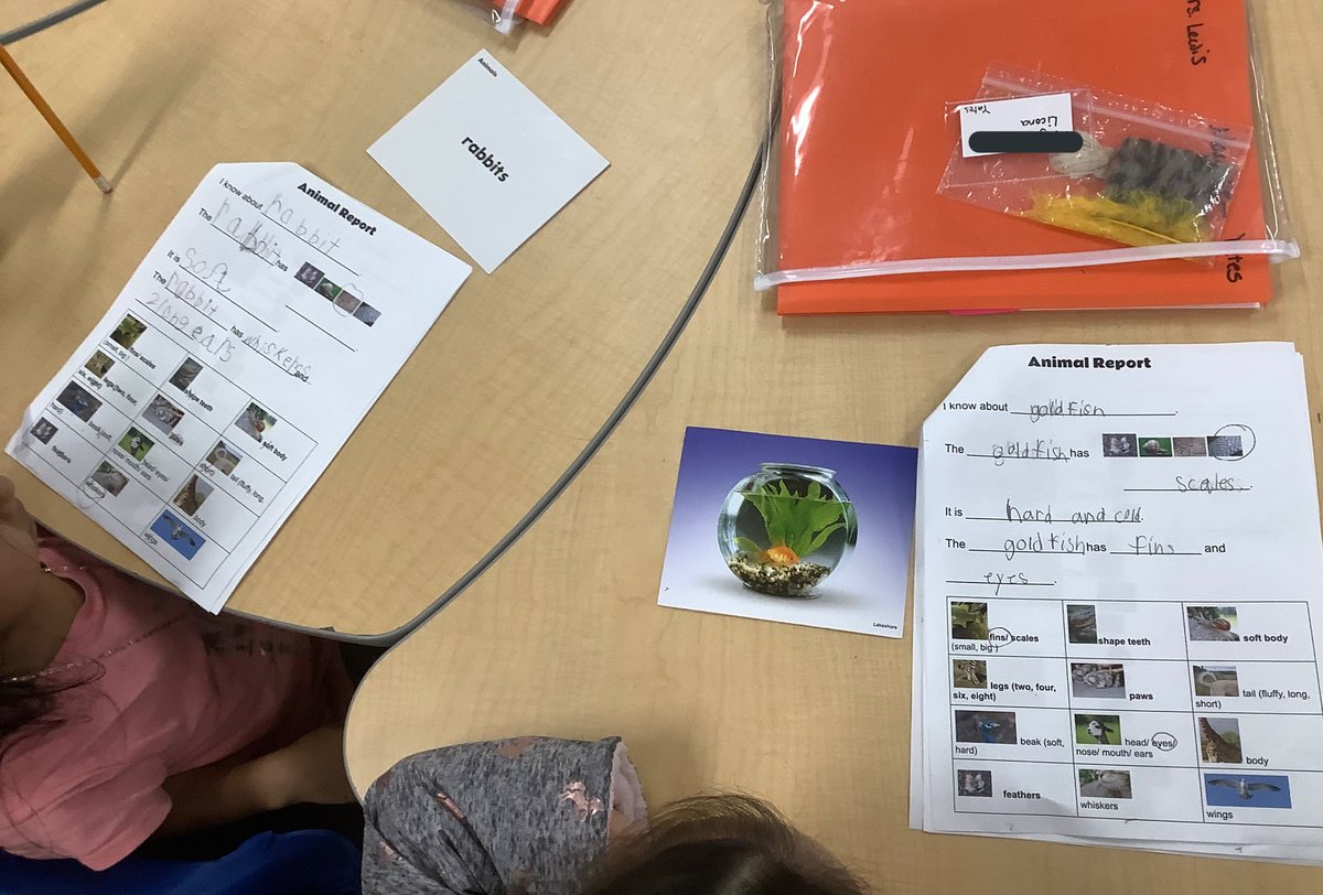 meiyinlewis's tweet photo. Love to see my 1st grade kiddos collaborate with peers in this animal report. So many animal lovers here @ConderStars @PaulaChina1 @MissBsLearners #ESL #Multilangual https://t.co/qfEms2a5dx