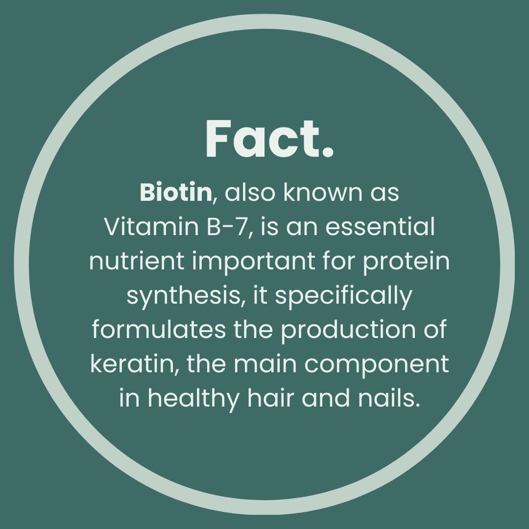 getgrofully's tweet photo. You've heard the word 'biotin' before, but why is it so great? #Biotin is an essential nutrient for protein synthesis &amp; it specifically formulates the production of keratin, the main component in healthy hair. Try Grofully's Fully Grow &amp; Support Supplement https://t.co/POWiLvMlbE https://t.co/C2h8wFLrE9