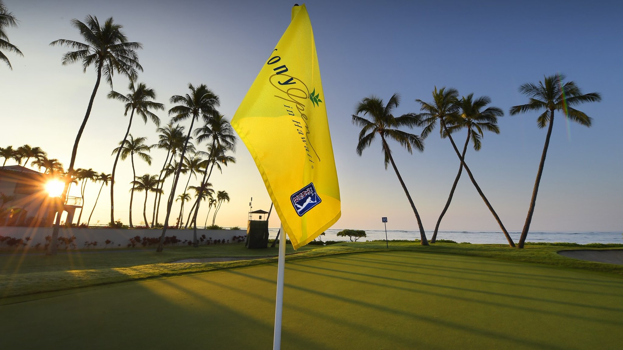 Golf Injury Report on Twitter "1) PGA Tour Injury Report 2023 Sony