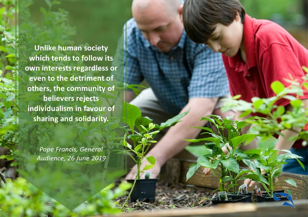 SBearsden's tweet photo. CATHOLIC SOCIAL TEACHING~Thought for the Week beginning Sunday 15th January 2023~Second Ordinary Sunday of the Year-A. "Unlike human society which tends to follow its own interests..." Pope Francis, General Audience 26.6.19 👇🏻@JandPScotland #CST #WeeklyCST #CatholicSocialTeaching https://t.co/bylSrjuJZO