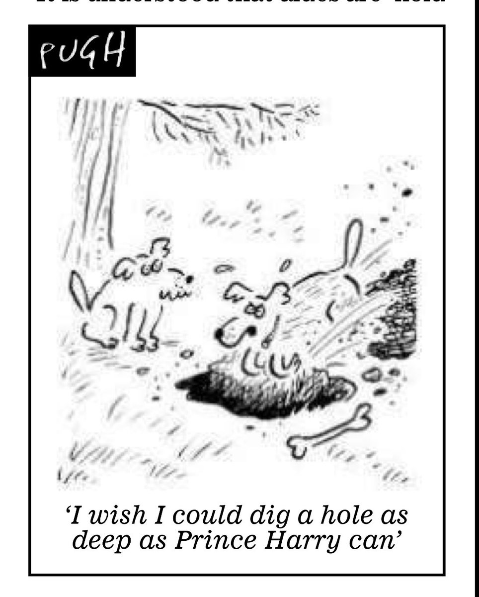 JenCarsonTaylor's tweet image. not possible #PrinceHarry #SpareUs #ShutUpHarry