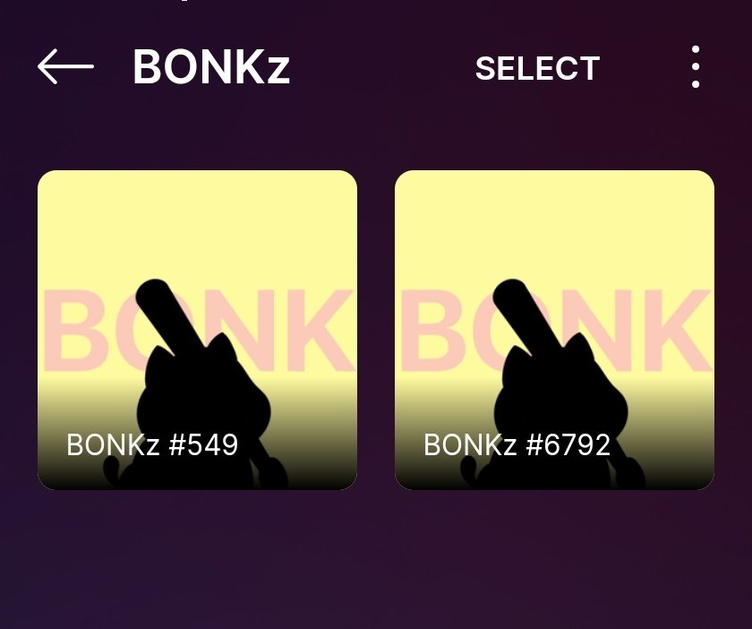 Nuclearcrypto's tweet photo. @bonk_inu Got my 2 bonks! Don't know what to expect but hopefully not another @DegentownNFTs @OMNIcreative_ https://t.co/yrZwgYfGSb