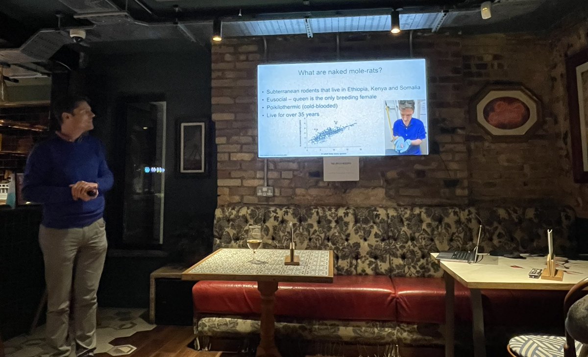 CamNeuro's tweet image. Next up at @CamBrainCNS #Neurotalks is @psalmotoxin @UnivCamPharm @CorpusCambridge talking all things Naked Mole Rat….here is he with one which is a year older than him! Not sure which one is looking better for their age 😜