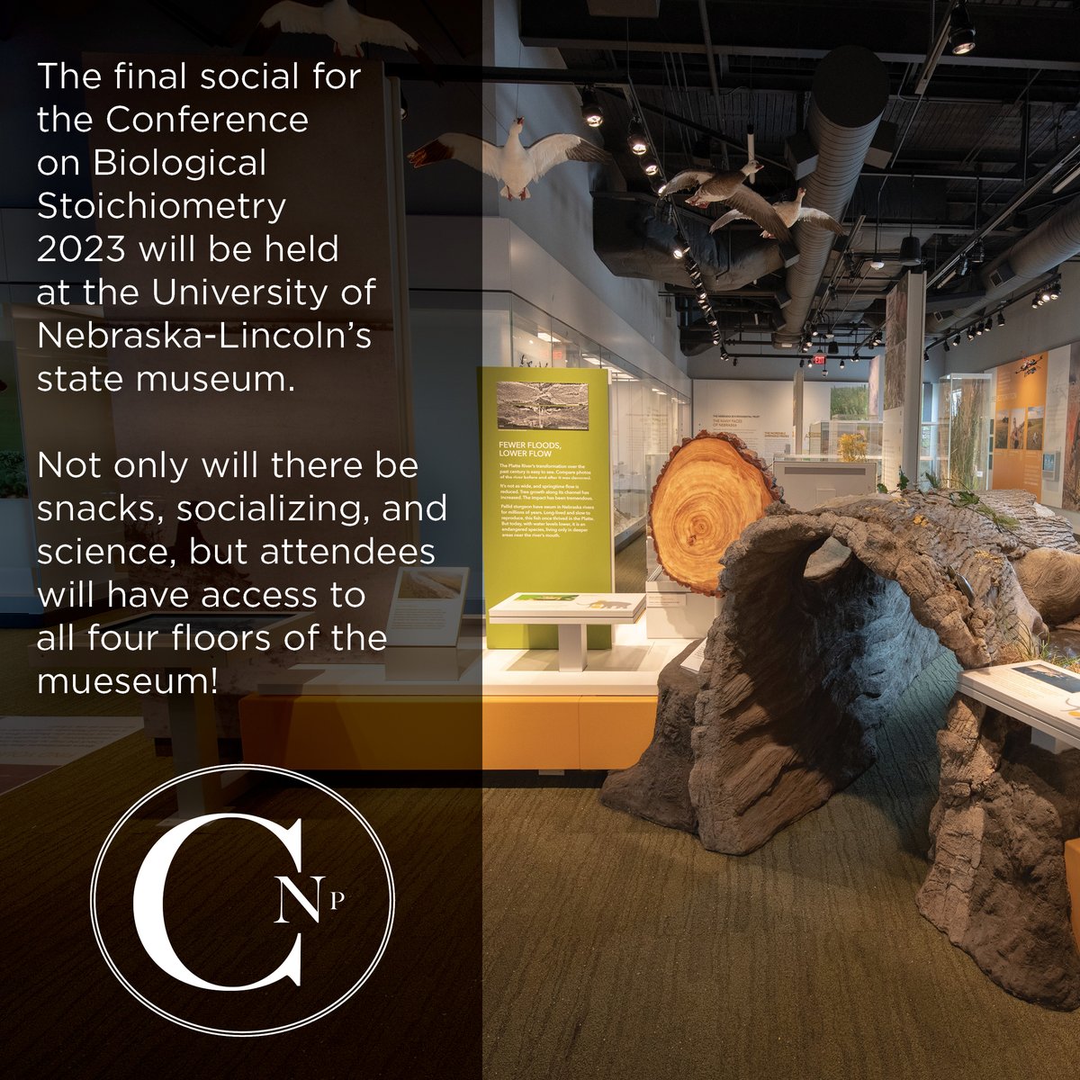 ecostoich's tweet image. At CoBS 2023, we want to encourage collaboration and socializing through a variety of events including our final evening we're calling, A Night at the Museum. 

Visit go.unl.edu/CoBS2023 to register and learn about our social events. 

#CornCoBS2023 #STOICH #stoichiometry