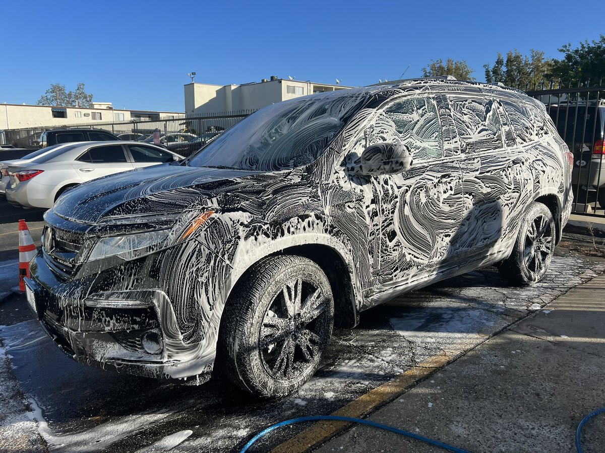 WDateiling's tweet image. 