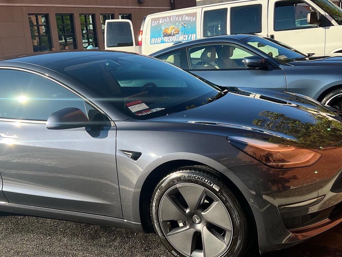 WDateiling's tweet image. 