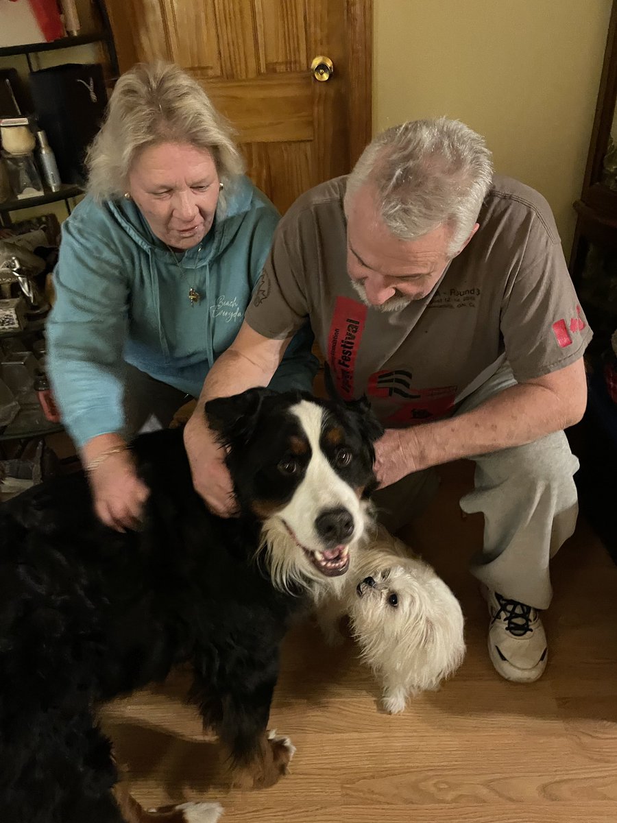 PoundDog911's tweet photo. Walter found his forever home with a family who adore Berners and have one already that they were looking for a buddy for.  Walter has secured his favourite spot on the couch in his new home and is settling in well! https://t.co/97rjI9snIS