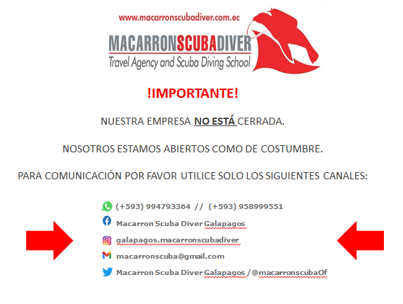Macarron Scuba Diver Galapagos tweet media