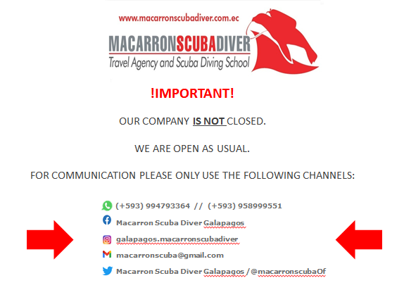 Macarron Scuba Diver Galapagos tweet media