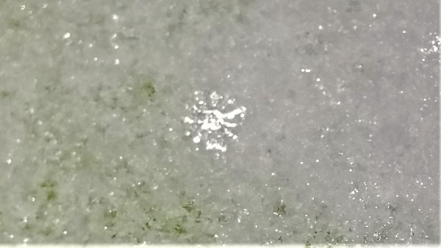 JohnnySNOWFLAKs's tweet photo. Many 12 arms snowflakes photos took in January 10th 2023 #snowflake #snowflakes #snowclystal #snowflakes #snowcristals #sixsided #snowflakephotography #realsnowflake #snรธ #snรถ #12sidedsnowflakes #12branchedstars #snowstorm https://t.co/4WeLdhkUm3