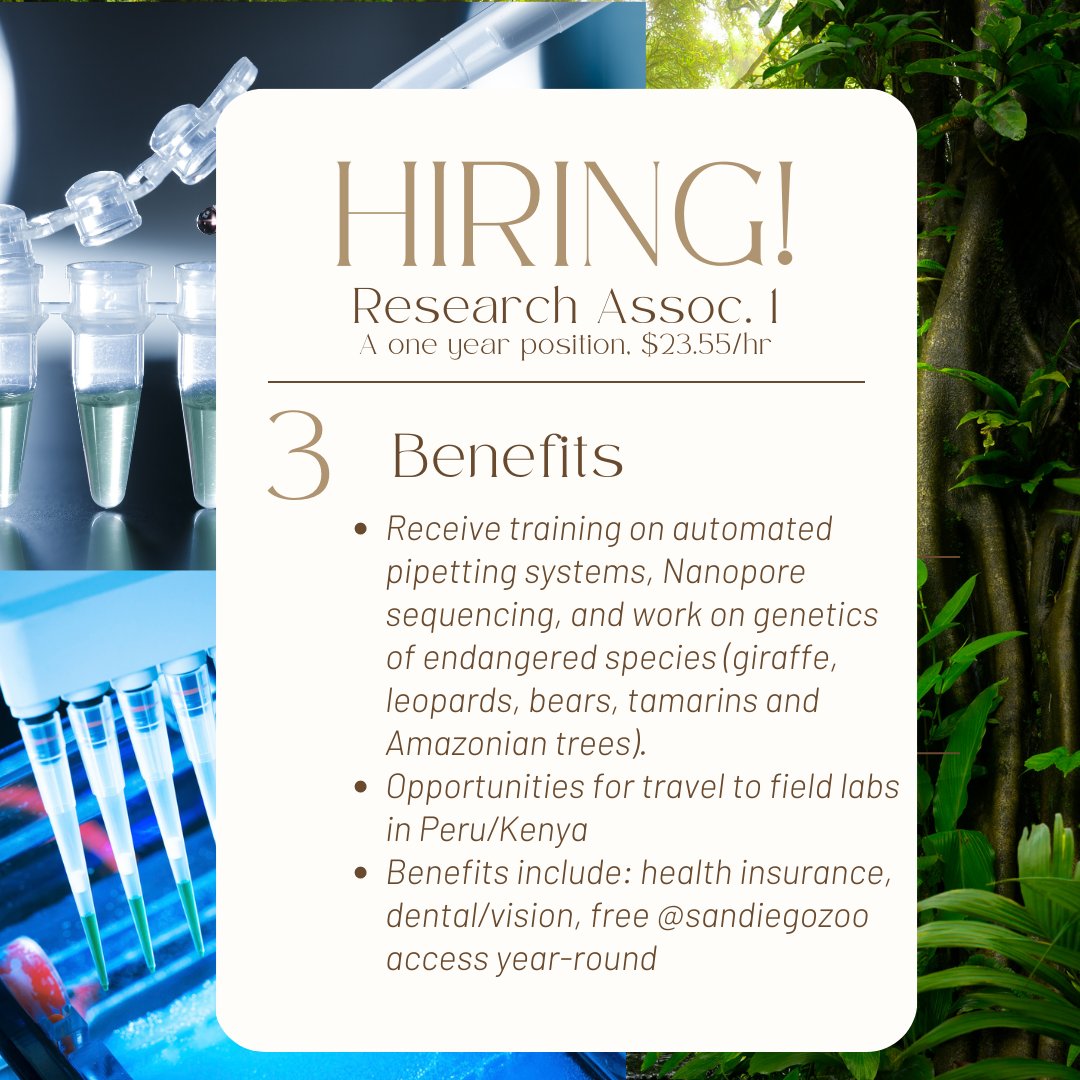 SurroundScience's tweet image. Lab opening at SDZoo! #pleaseshare #Consgen research associate position, 1 year; work on SNP genotyping plants and animals on multiple continents with me;if you love DNA+poop+ingredients shopping, you'll love this job. 

$23.55/h #salary #transparency