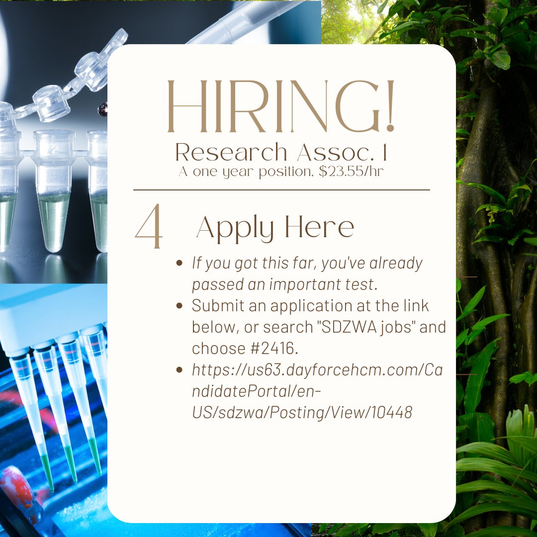 SurroundScience's tweet image. Lab opening at SDZoo! #pleaseshare #Consgen research associate position, 1 year; work on SNP genotyping plants and animals on multiple continents with me;if you love DNA+poop+ingredients shopping, you'll love this job. 

$23.55/h #salary #transparency