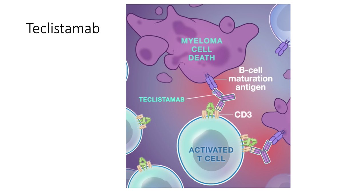 mihematology's tweet photo. Teclistamab, a BCMAxCD3 BiTE, was studied in a mostly penta-drug exposed population and also had rapid, deep responses with similar CRS/ICANS

But rates of infection, even grade 3-4 infections, were higher than in the CD20xCD3 BiTE trials

🧵(6/7) https://t.co/xMtHbs7D4V