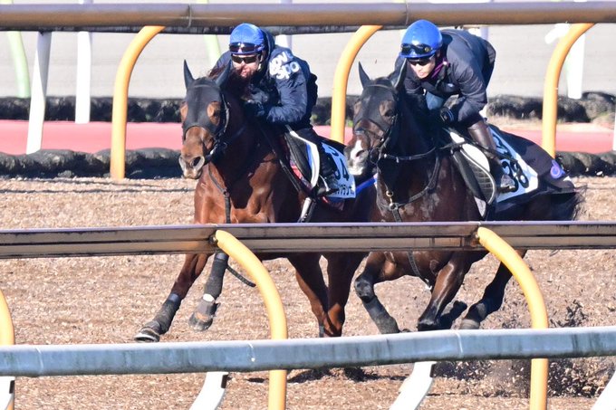 ルビーカサブランカ の評価や評判 感想など みんなの反応を1時間ごとにまとめて紹介 ついラン