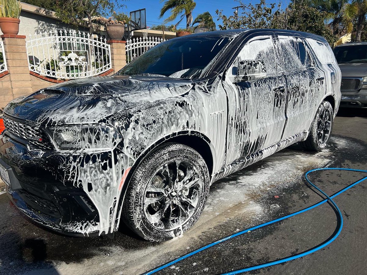 WDateiling's tweet image. 