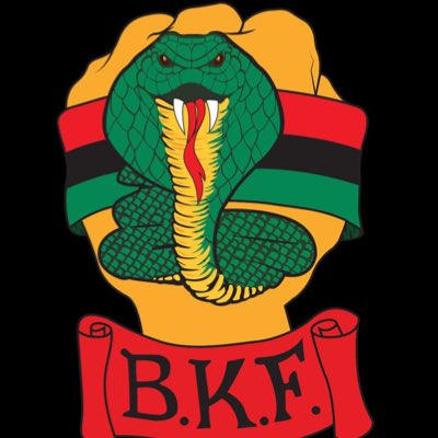 fistsareblack's tweet photo. #NewProfilePic https://t.co/SXFRj1TMQg