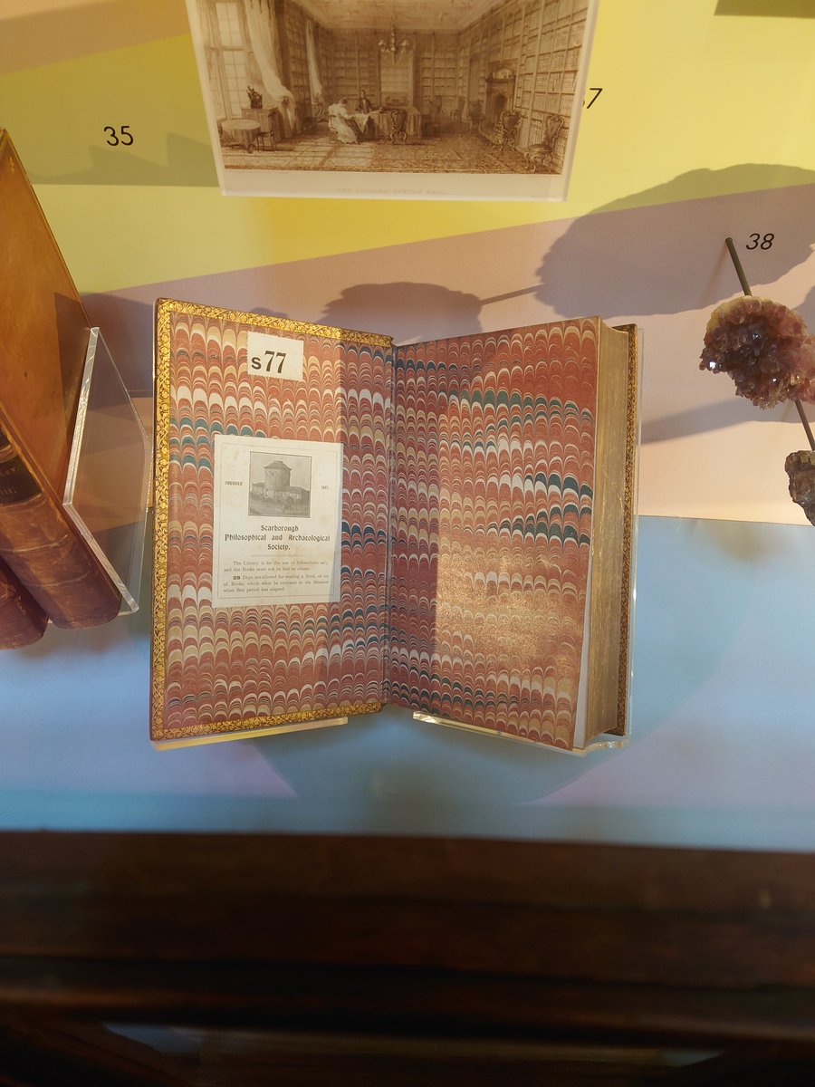 Leonieconserva's tweet photo. I could have easily spent a long time in the top room, not only is it cool in itself but there were so many different items to look at! #greatbustard #marblepaper #Crystal https://t.co/aBV9oJEMP9