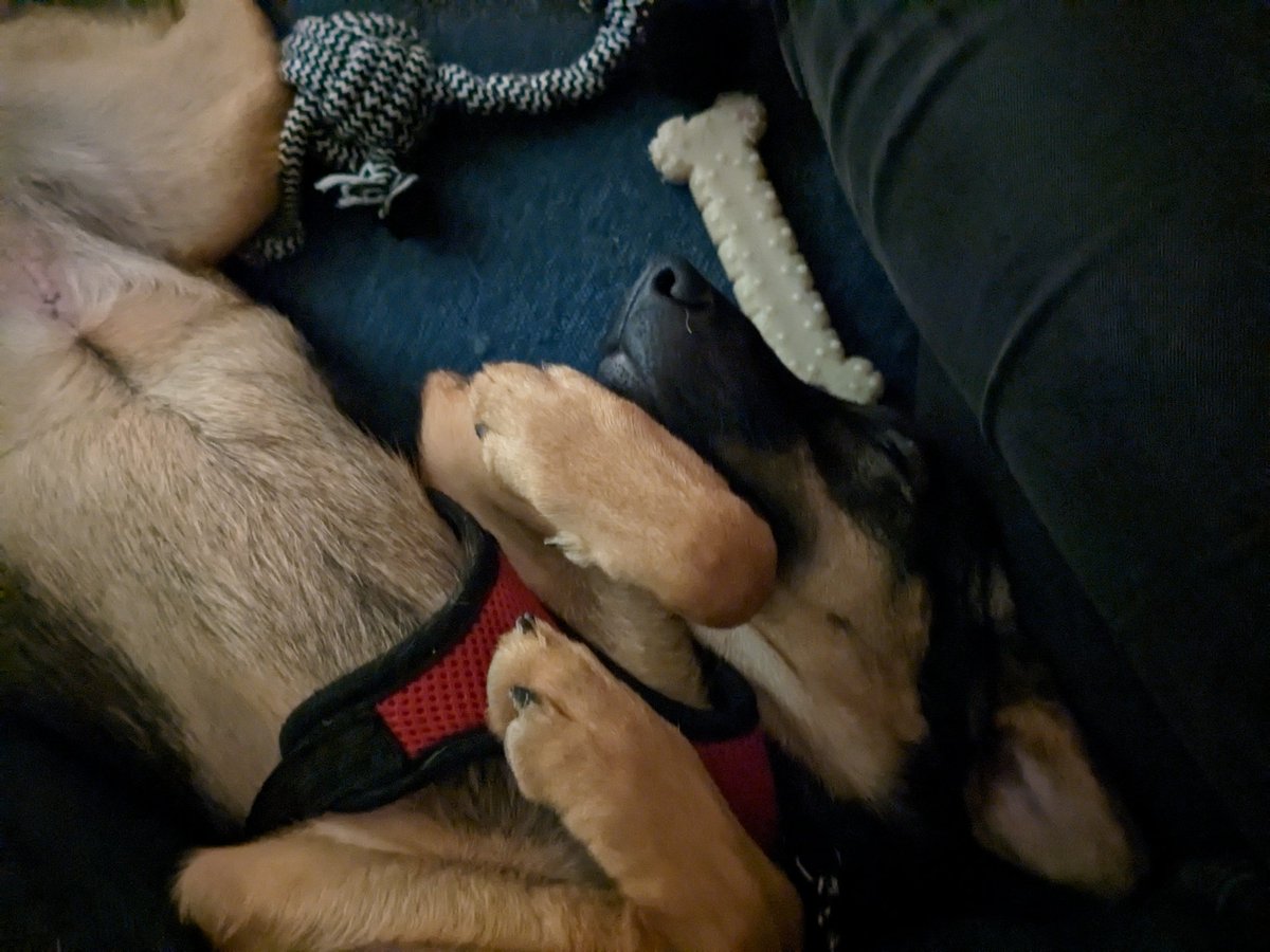 Magic 매직 tweet media