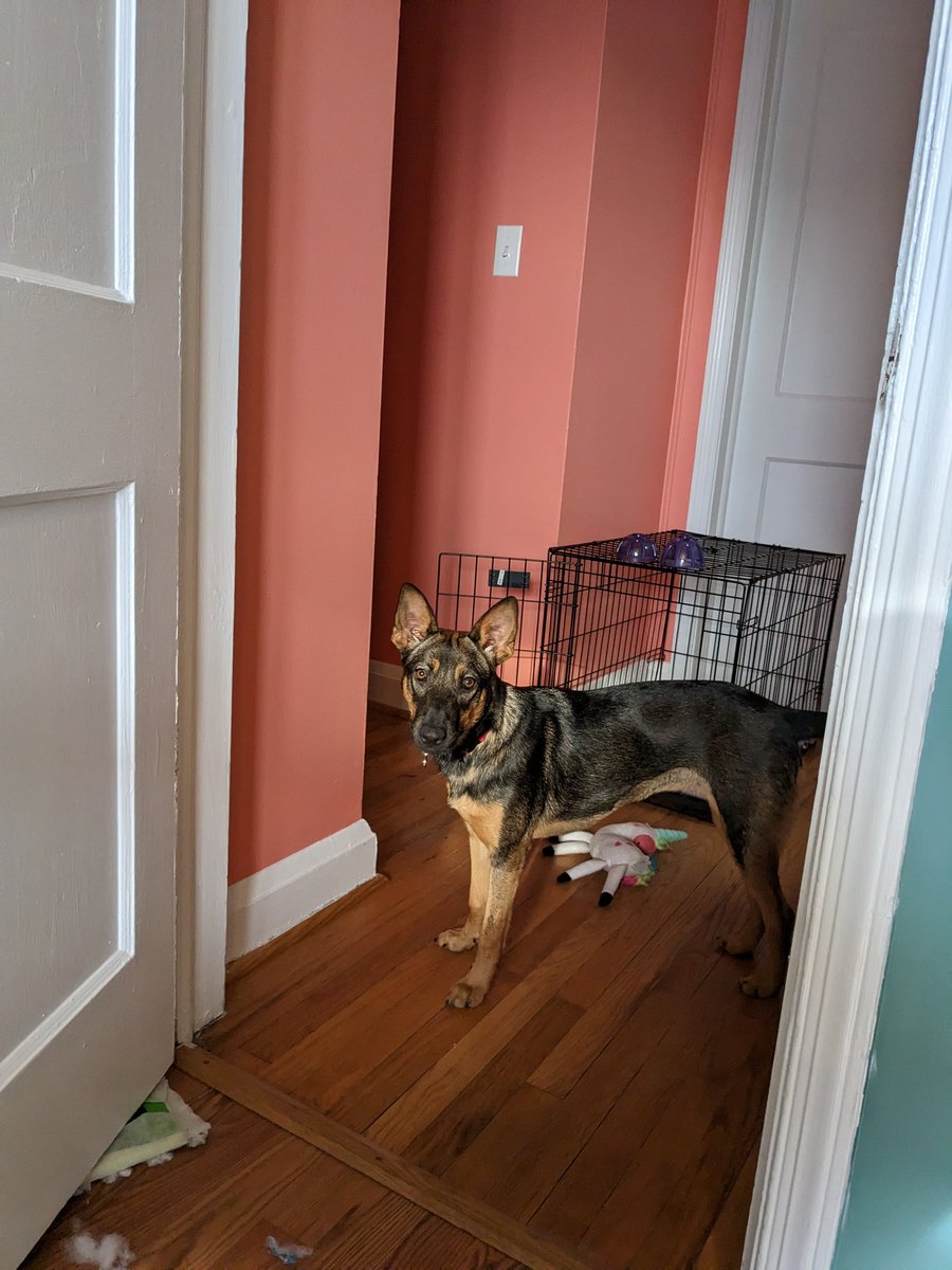 Magic 매직 tweet media