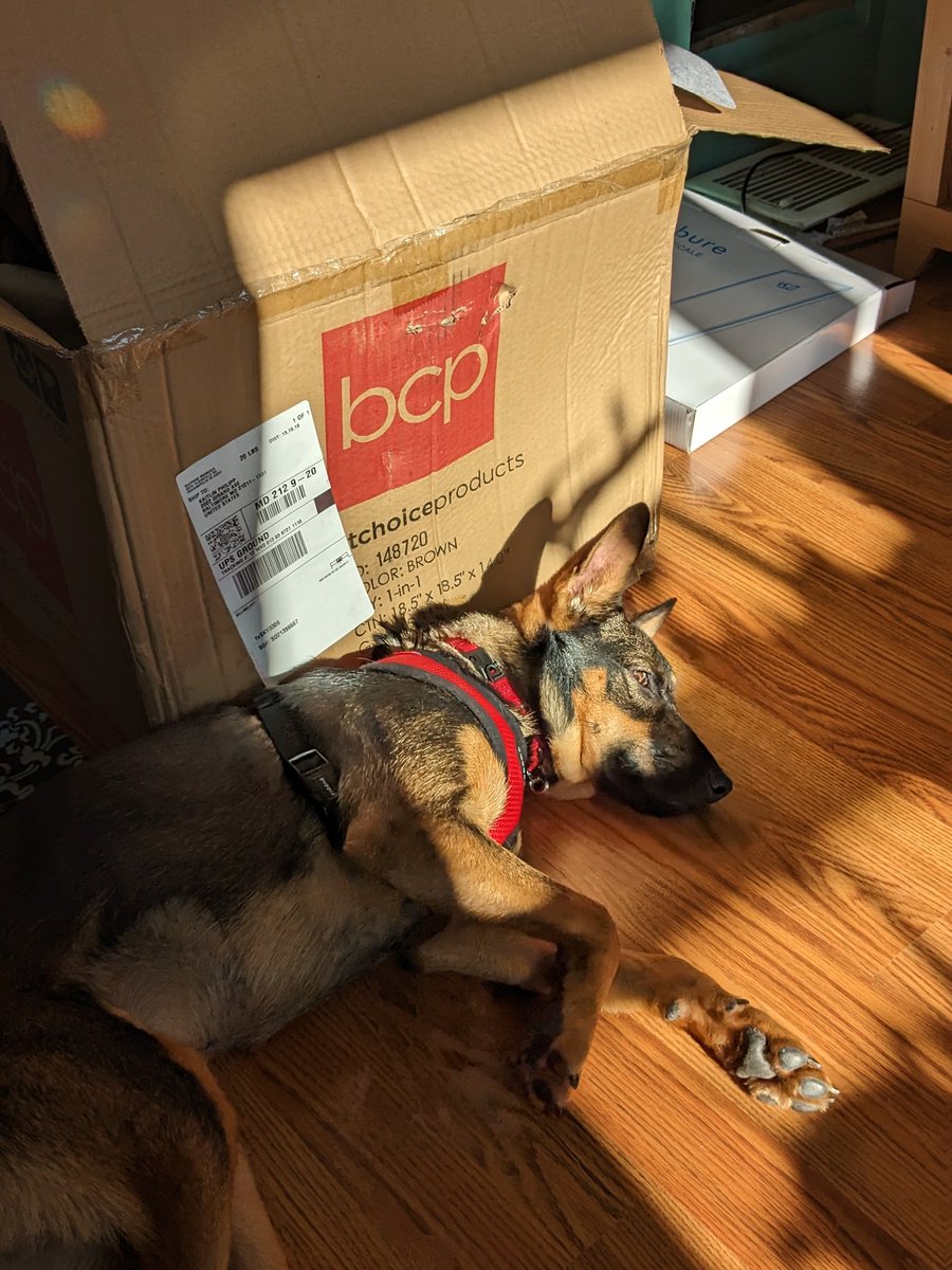 Magic 매직 tweet media