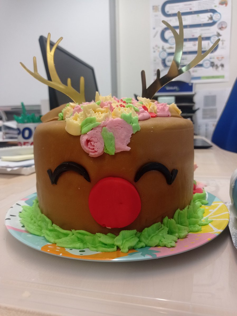 Year 9 Animal Rights and Religion projects. Students have used their creativity well here and had lots of fun in the process and product!