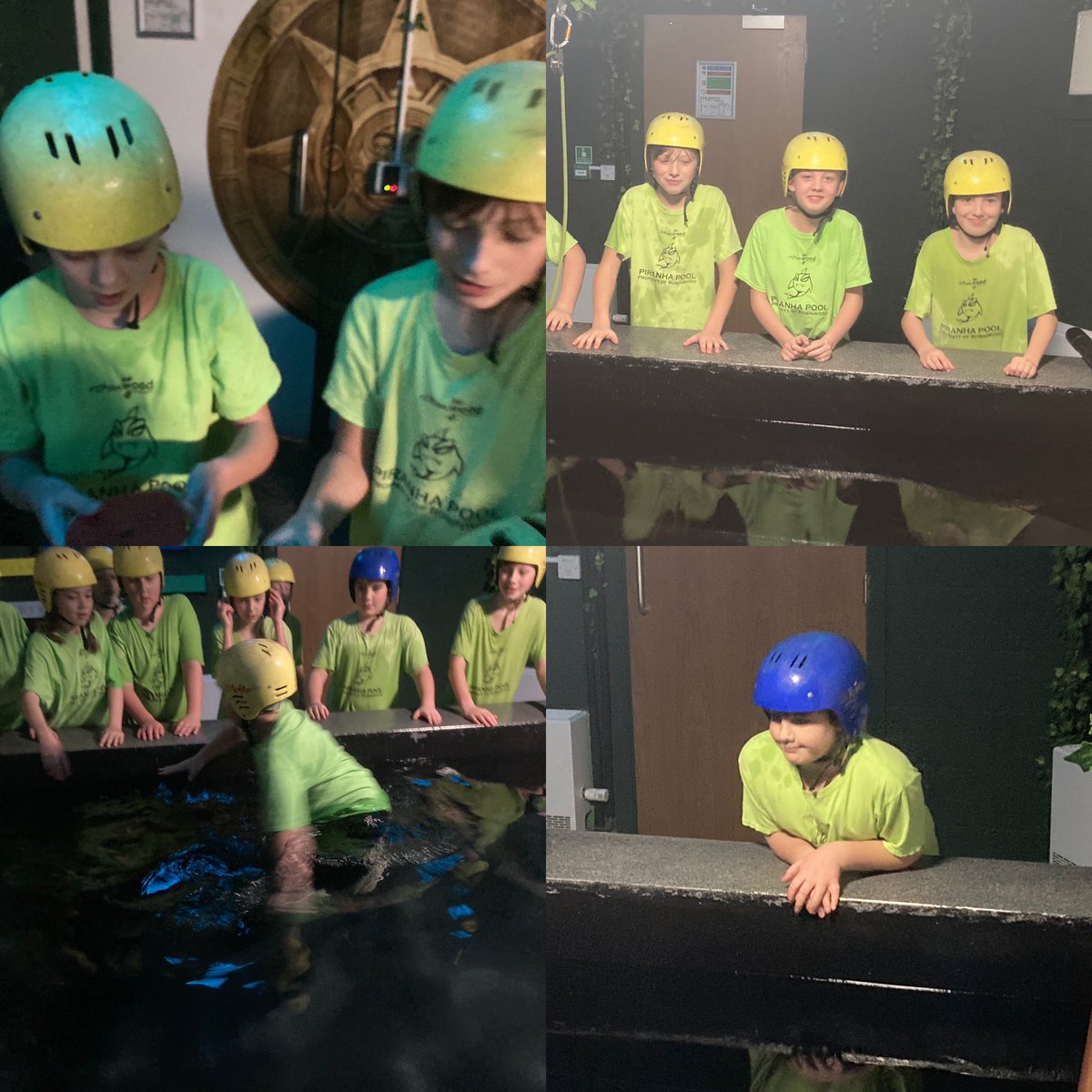 Wellgate Primary School tweet media