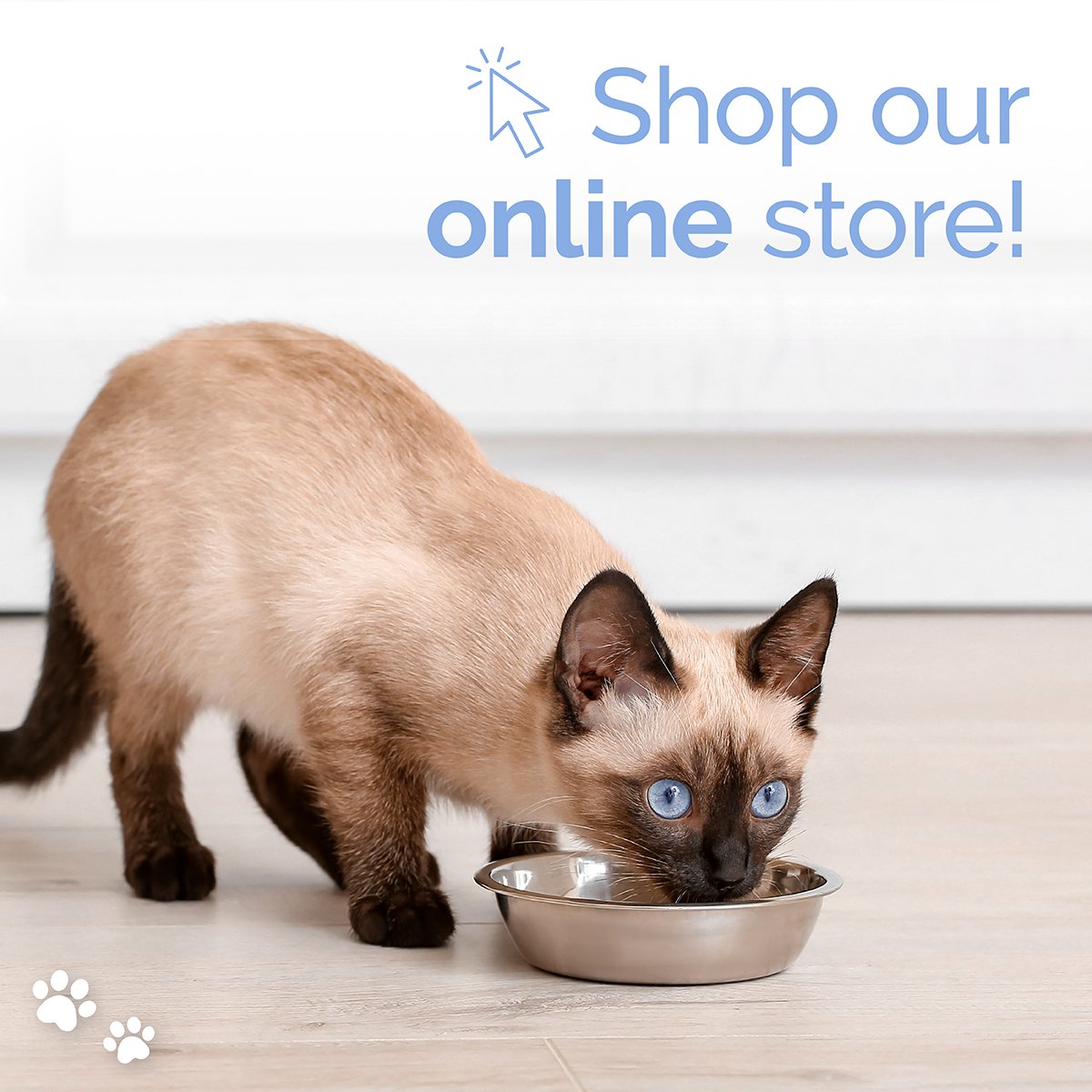 AcresVet's tweet photo. January is #NationalWeightLossAwarenessMonth 
Shop our Online store for top diet-friendly brands for you pet! 
Visit our website https://t.co/MMZEXTIVNZ 
#acresnorthvet #petwellness https://t.co/qzig27kniS